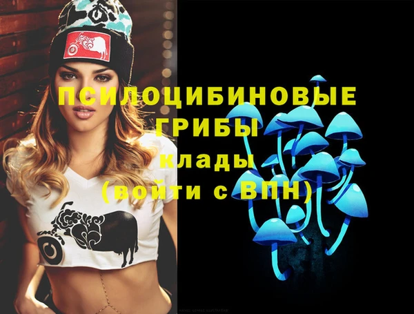 прущие грибы Арсеньев