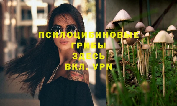 прущие грибы Арсеньев